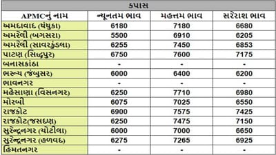 કપાસના તા.16-05-2024ના રોજ APMCના ભાવ રૂ.5500 થી 7710 રહ્યા.