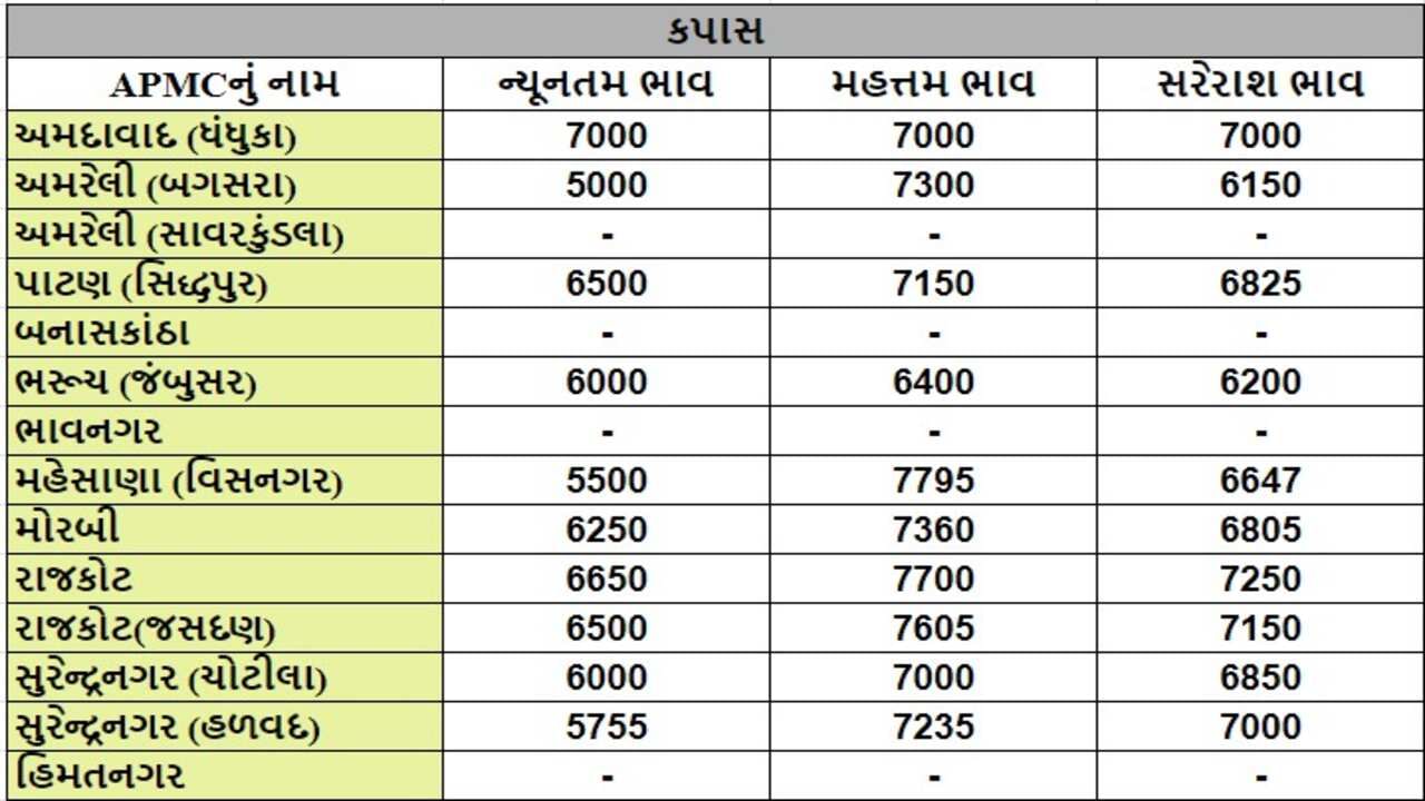 કપાસના તા.21-05-2024ના રોજ APMCના ભાવ રૂ.5000 થી 7795 રહ્યા.