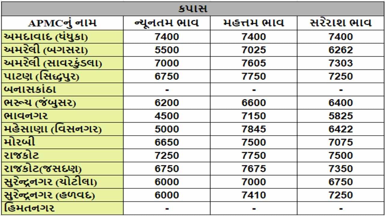 કપાસના તા.13-05-2024ના રોજ APMCના ભાવ રૂ.4500 થી 7845 રહ્યા.