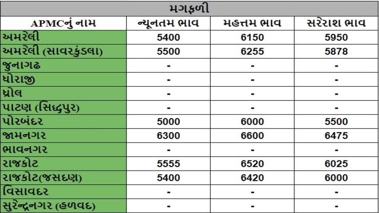 મગફળીના તા.14-05-2024ના રોજ APMCના ભાવ રૂ.5000 થી 6600 રહ્યા.