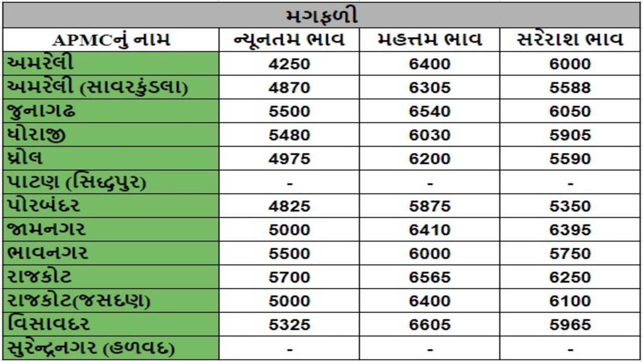 મગફળીના તા.09-05-2024ના રોજ APMCના ભાવ રૂ.4250 થી 6605 રહ્યા.