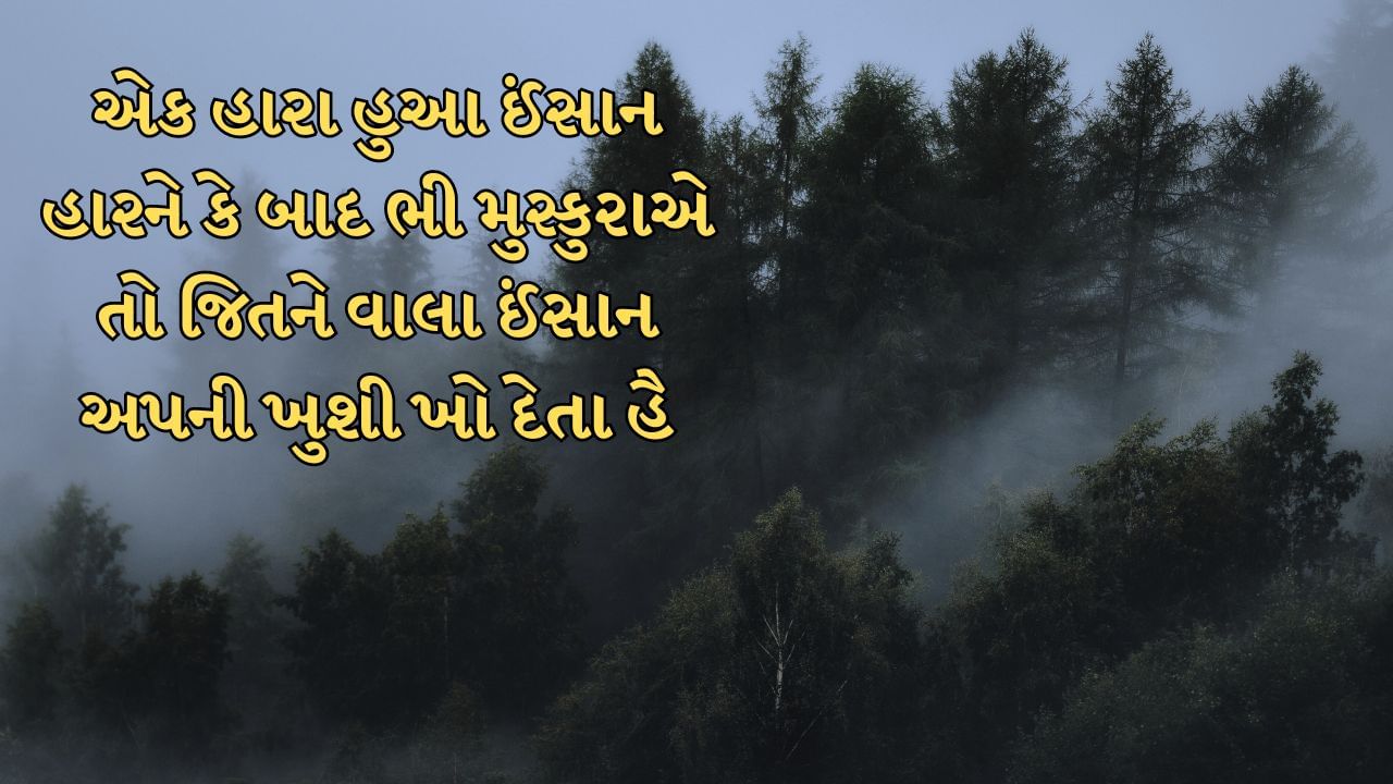 એક હારા હુઆ ઈંસાન હારને કે બાદ ભી મુસ્કુરાએ તો જિતને વાલા ઈંસાન અપની ખુશી ખો દેતા હૈ 