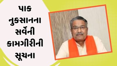 કમોસમી વરસાદથી પાક અને APMCમાં જણસને લાખો રુપિયાનું નુકસાન, કૃષિ પ્રધાને સર્વેની આપી સૂચના, જુઓ Video