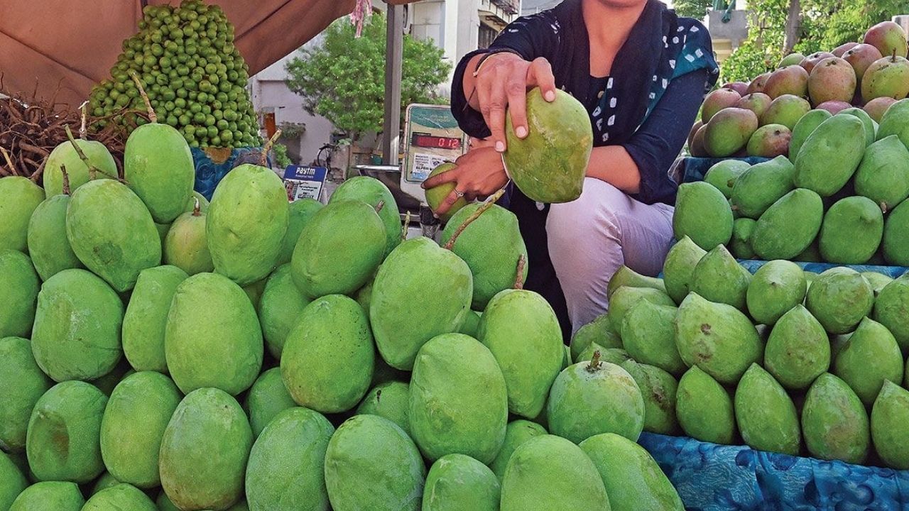 શહેરના ફ્રુટ માર્કેટમાં તેને ખરીદવા આવેલા એક વ્યક્તિએ મીડિયાને જણાવ્યું કે, આ કેરી ખાવામાં સ્વાદિષ્ટ હોવાની સાથે ખૂબ મીઠી પણ છે. તમામ સામાન્ય કેરીનો સ્વાદ અલગ-અલગ હોય છે. પરંતુ તેનો સ્વાદ તે બધા કરતા સારો છે. બીજી તરફ આ કેરી ખરીદનારા બીજા ભાઈએ કહ્યું કે આ કેરીની સાઈઝ ઘણી મોટી છે અને તેનો સ્વાદ પણ અન્ય કેરીઓની સરખામણીમાં ખૂબ જ મીઠો છે.
