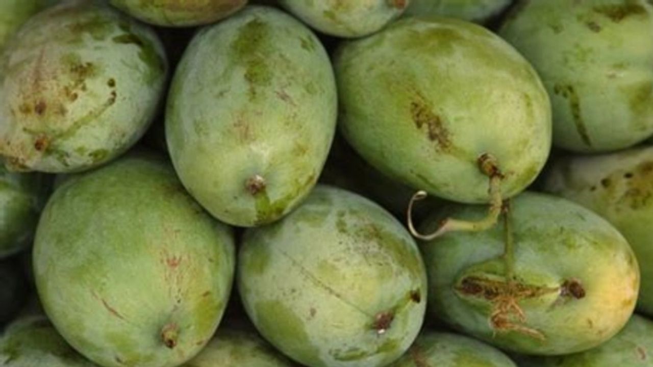 રાજાપુરી કેરી અંગે ફળોના વેપારીઓ કહે છે કે આ કેરી ખૂબ જ મીઠી છે. તેમાં થોડી ખાટી હોય છે પણ તેનો સ્વાદ ખૂબ જ સ્વાદિષ્ટ હોય છે. આ કેરીની સુગંધ પણ અદ્ભુત હોય છે. આ જાતની કેરીનું વજન અડધા કિલો જેટલું હોય છે અને તેના બીજ પણ નાના હોય છે. 
