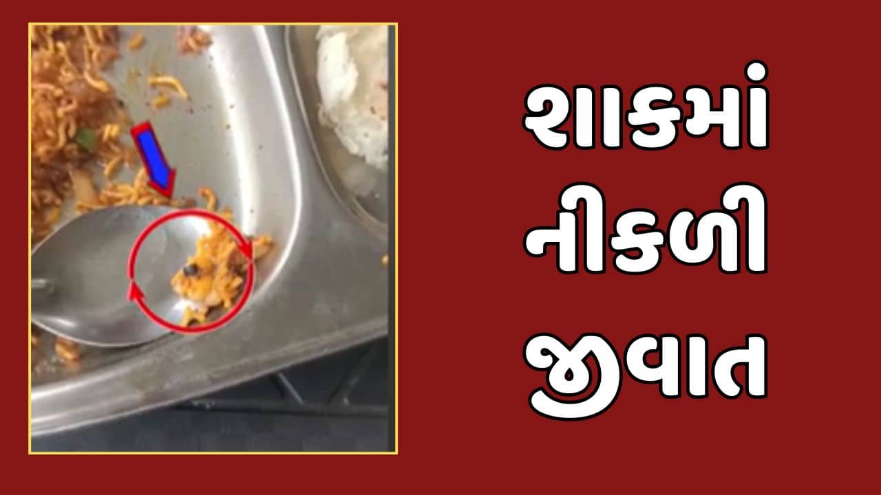 Vadodara : વાઘોડિયાની ખોડિયાર રેસ્ટોરન્ટના શાકમાંથી મળી જીવાત, જુઓ Video