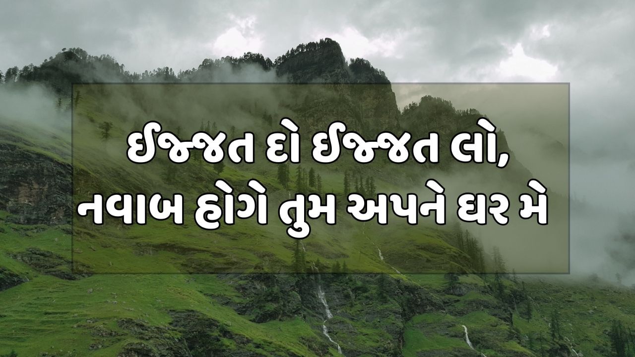 ઈજ્જત દો ઈજ્જત લો, નવાબ હોગે તુમ અપને ઘર મેં 