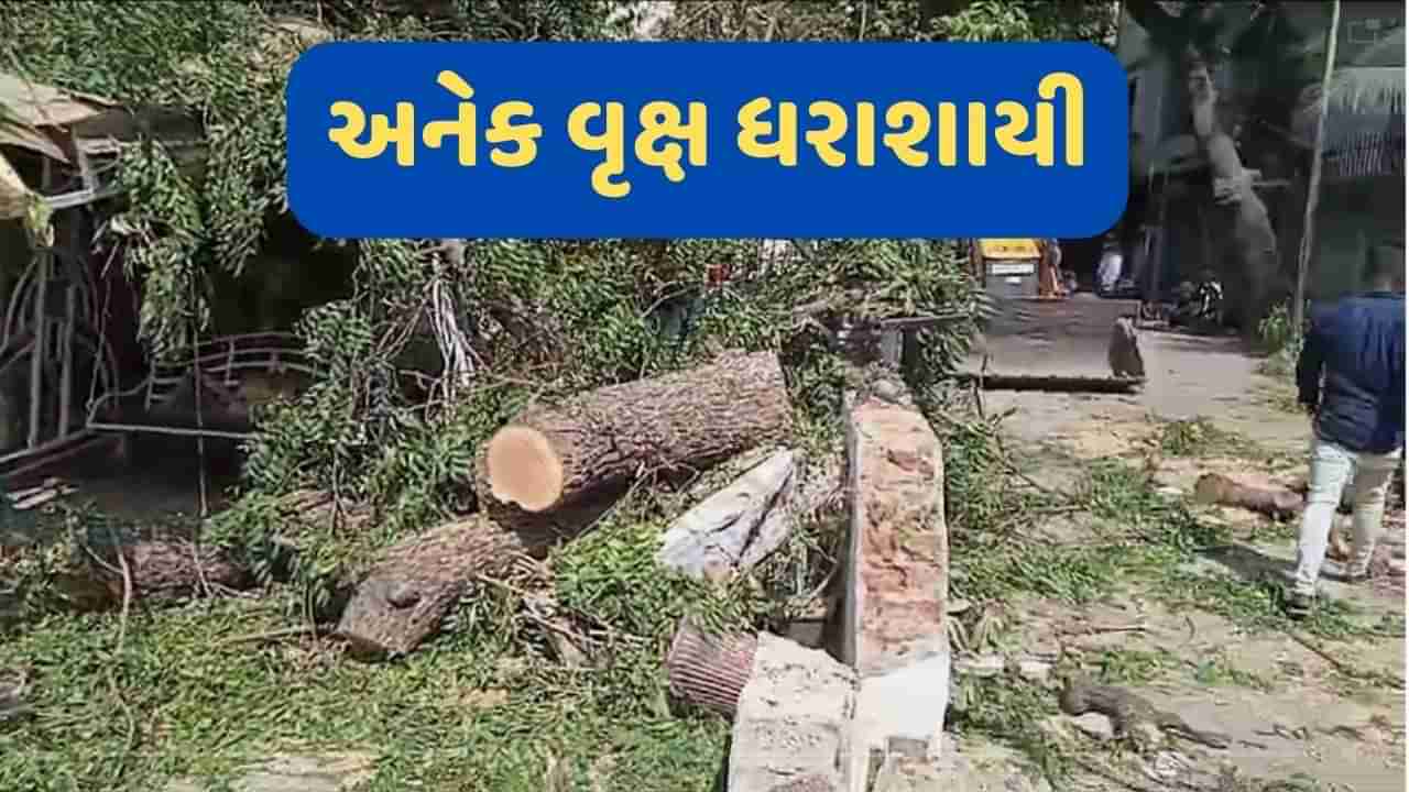 Surat Rain : અચાનક આવેલા વાવાઝોડા અને વરસાદના પગલે અનેક વૃક્ષો ધરાશાયી, ફાયર વિભાગ આખી રાત કામે લાગ્યુ