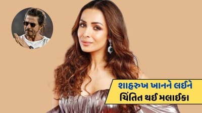 શાહરૂખ ખાનને લૂ લાગી જતા મલાઈકા અરોરાએ દર્શાવી ચિંતા, આપી હીટ સ્ટ્રોકથી બચવાની ટિપ્સ, જુઓ