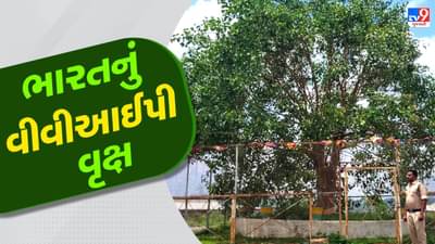 ભારતનું VVIP વૃક્ષ, લોખંડી સુરક્ષા અને દિવસ-રાત પોલીસ જવાનોનો પહેરો, જાણો