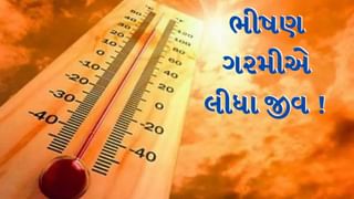 Video : ભીષણ ગરમી બની જીવલેણ ! ગુજરાતના આ જિલ્લામાં છેલ્લા 24 કલાકમાં જ 10 લોકોના મોત
