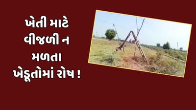 Vadodara : કરજણમાં ખેડૂતોને વીજળી ન મળતા જગતના તાતમાં રોષનો માહોલ, જુઓ Video Vadodara : કરજણમાં ખેડૂતોને વીજળી ન મળતા જગતના તાતમાં રોષનો માહોલ, જુઓ Video