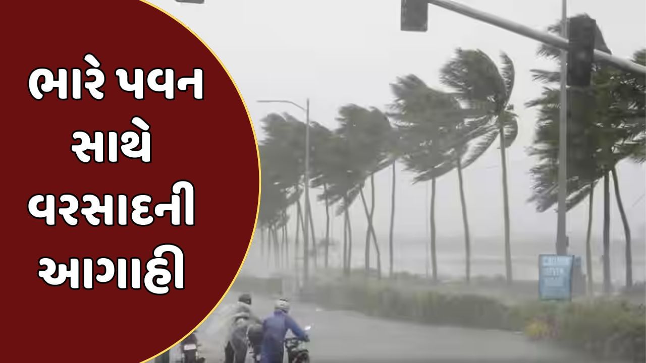 દેશમાં અલગ - અલગ સિસ્ટમ સક્રિય, ગુજરાત સહિત કેટલાક રાજ્યોમાં ભારે પવન સાથે વરસાદની આગાહી