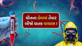 અરે બાપરે.. કોરોના બાદ ચીનની લેબમાં તૈયાર થયો બીજો ઘાતક વાયરસ, જાણો નામ અને કઈ રીતે થયો તૈયાર