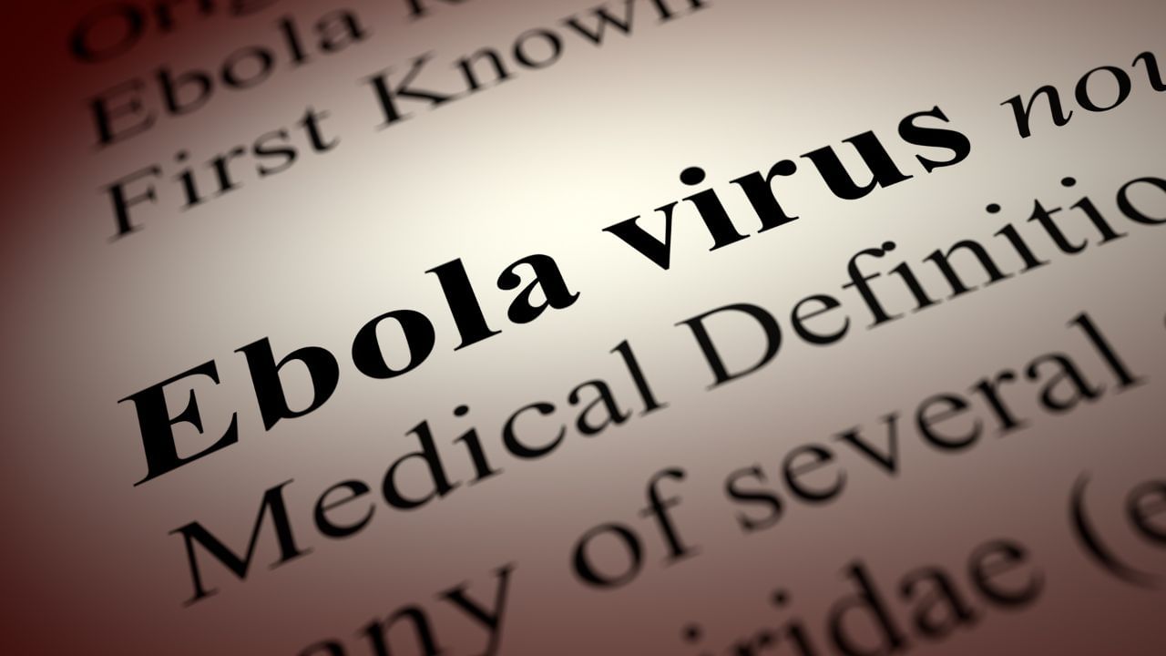 The study here found that, to test this virus, a group of animals called hamsters were involved, in which one animal was injected with a virus made from this mutant. The result was that he died.