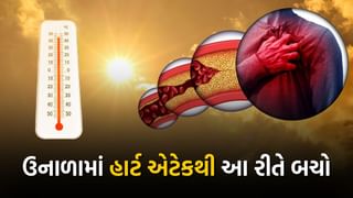 ગરમીએ વધારી મુશ્કેલી, ઉનાળામાં આ 4 કારણોથી વધી રહ્યો છે હાર્ટ એટેકનો ખતરો, જાણી લો બચવાના ઉપાય