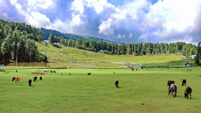 ભારતમાં જમીનને સોનું ગણવામાં આવે છે, જેનું કારણ તેની સતત વધતી કિંમતો છે. ભારતનો કુલ વિસ્તાર 32,87,267 ચોરસ કિલોમીટર છે. ત્યારે તમારા મનમાં ક્યારેય એવો સવાલ આવ્યો કે ભારતમાં સૌથી વધુ જમીન કોની પાસે છે ?