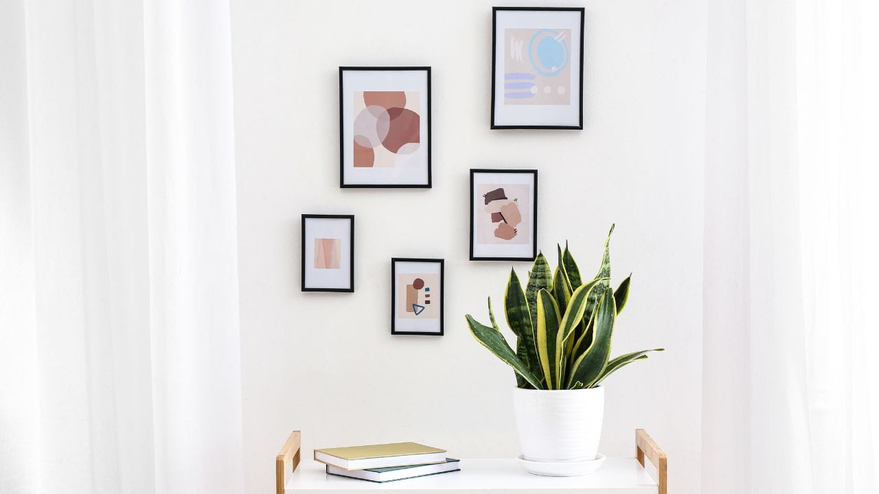 વાસ્તુશાસ્ત્ર અનુસાર પૂર્વજોના ફોટા લગાવવા માટે દક્ષિણ દિશા શ્રેષ્ઠ માનવામાં આવે છે. દક્ષિણ દિશામાં પૂર્વજોના ચિત્રો લગાવવાથી તેમનું મુખ ઉત્તર દિશા તરફ હોવું જોઈએ. દક્ષિણ દિશાને યમની દિશા માનવામાં આવે છે. જો આ દિશામાં પૂર્વજોના ચિત્રો લગાવવામાં આવે તો ઘરમાં સુખ-સમૃદ્ધિ રહે છે.