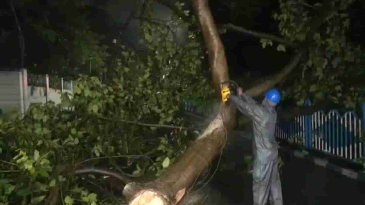 Cyclone Remal : વાવાઝોડા રેમલએ મચાવી તબાહી, ભારે વરસાદ અને પવનથી વૃક્ષો ઉખડી ગયા, અનેક ટ્રેનો રદ