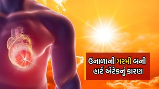 ઉનાળાની ગરમીને કારણે વધ્યો Heart Attackનો ખતરો, ગુજરાતના આ જિલ્લામાં 24 કલાકમાં 10 લોકોનાં થયા મોત