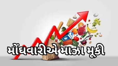 ફુગાવાએ 15 મહિનાનો રેકોર્ડ તોડ્યો, મે મહિનામાં મોંઘવારીનો ડબલ માર