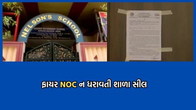 રાજકોટ અગ્નિકાંડ બાદ ફાયર NOC ન ધરાવતી શાળાઓ સામે લાલ આંખ, અમદાવાદની નેલ્સન સ્કૂલને કરાઈ સીલ- VIDEO