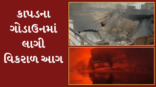 Ahmedabad Video : દાણીલીમડાનાં ગોડાઉનમાં લાગી વિકરાળ આગ, 11 ગજરાજ સહિત 18 ફાયર ફાઈટર ઘટના સ્થળે