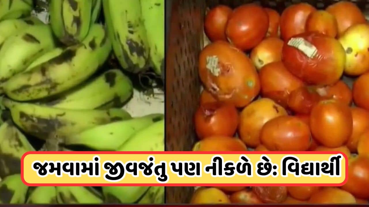 Ahmedabad: એલન ઇન્સ્ટિટ્યુટમાં આરોગ્ય વિભાગના દરોડા, વિદ્યાર્થીઓને પિરસવામાં આવતો હતો અખાદ્ય ખોરાક