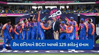 Prize Money for Team India : વર્લ્ડ કપ ચેમ્પિયન બનતા જ ભારતીય ટીમ પર પૈસાનો વરસાદ … BCCIએ 125 કરોડ આપવાની જાહેરાત કરી