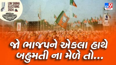 જો ભાજપને 272 બેઠકો ના મળે એટલે કે NDA ગઠબંધન વગર એકલા હાથે બહુમતી ના મેળે તો આવતીકાલે 5 જૂનને બુધવારના રોજ શેર માર્કેટમાં ઘટાડો થવાની શક્યતા છે. 