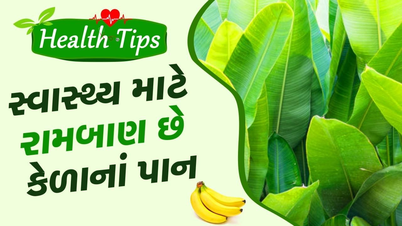 આજે બજારમાં ખોરાક ખાવા માટેના અનેક પ્રકારના વાસણો ઉપલબ્ધ છે.