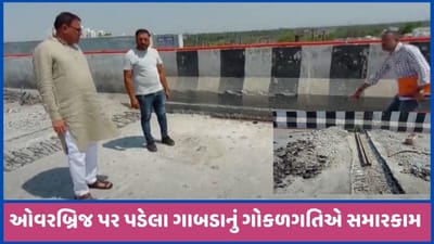 મહેસાણા: ડૉ. બાબાસાહેબ આંબેડકર બ્રિજની દુર્દશા, પુલ પર ઠેર-ઠેર ગાબડાં, જુઓ