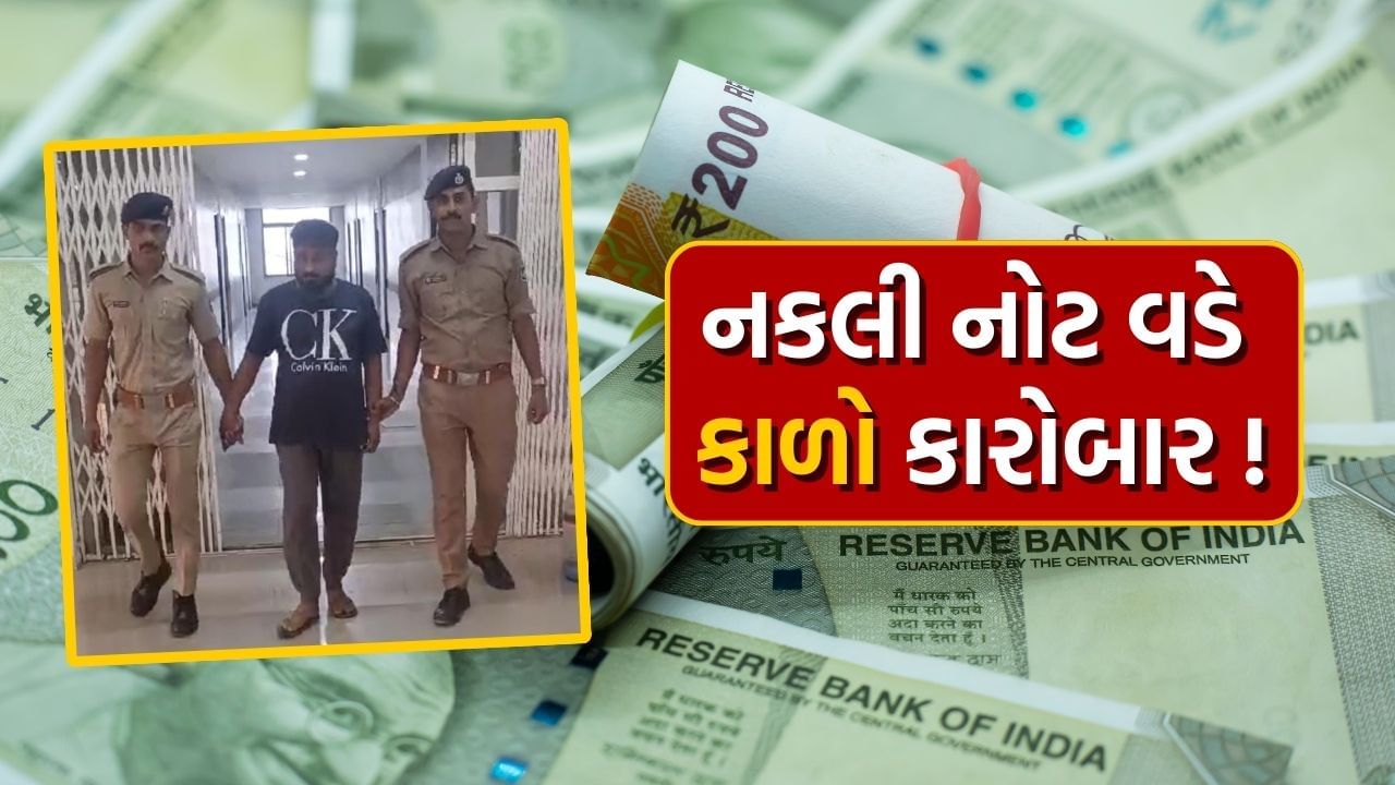 અમદાવાદમાં નકલી ચલણી નોટ વડે હિસ્ટ્રીશિટર ચલાવવાનો હતો ડ્રગ્સનો કારોબાર, CID એ કર્યો પ્લાન ફેલ, જાણો કઈ રીતે