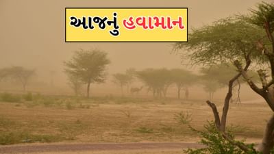 આજનું હવામાન : ગુજરાતના કેટલાક જિલ્લાઓમાં ડસ્ટ સ્ટ્રોમની આગાહી, અરબ સાગરમાંથી ભેજ આવતા બફારો રહેવાની સંભાવના, જુઓ Video