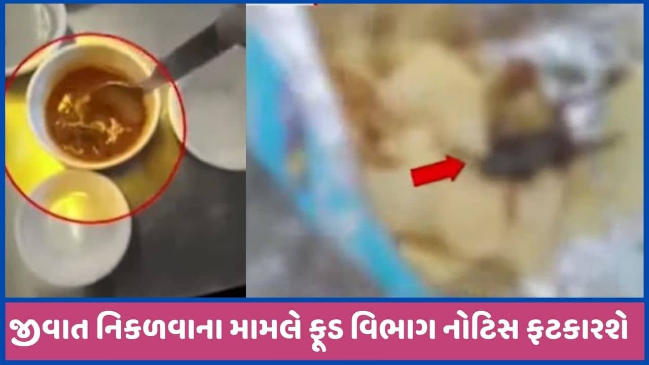 જ્યાંથી જીવાત નીકળી તેમને નોટિસ ફટકારાશે, ફૂડ કમિશ્નરનું નિવેદન, જુઓ