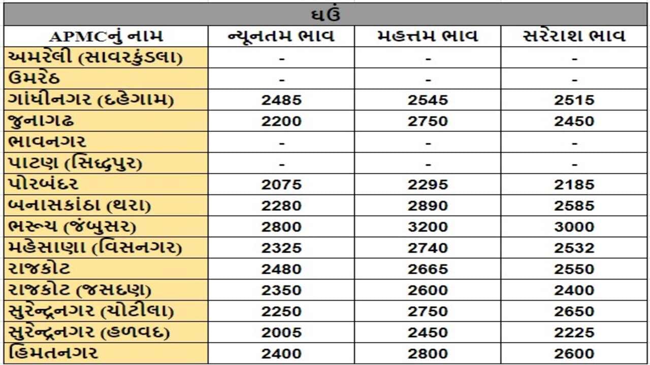 ઘઉંના તા.11-06-2024ના રોજ APMCના ભાવ રૂ.2005 થી 3200 રહ્યા.