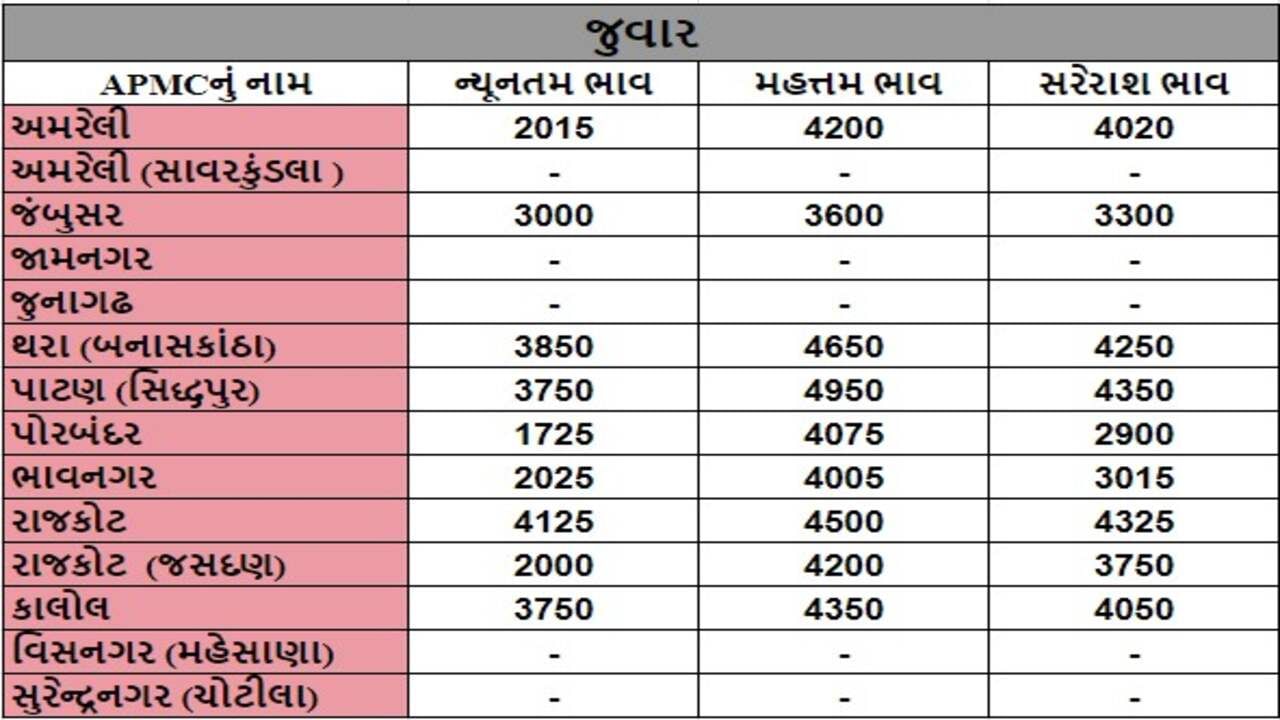 જુવારના તા.11-06-2024ના રોજ APMCના ભાવ રૂ.1725 થી 4950 રહ્યા.