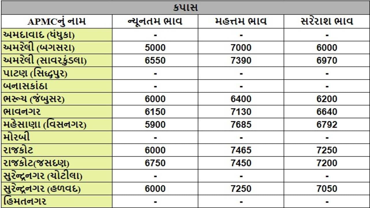 કપાસના તા.19-06-2024ના રોજ APMCના ભાવ રૂ.5000 થી 7685 રહ્યા.