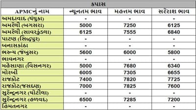 કપાસના તા.26-06-2024ના રોજ APMCના ભાવ રૂ.5000 થી 7825 રહ્યા.