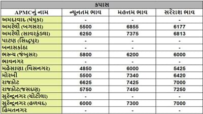 કપાસના તા.06-06-2024ના રોજ APMCના ભાવ રૂ.4850 થી 7450 રહ્યા.