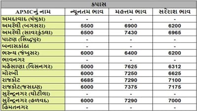 કપાસના તા.07-06-2024ના રોજ APMCના ભાવ રૂ.5000 થી 7625 રહ્યા.