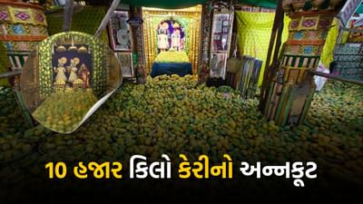 આમ્રોત્સવના આયોજક વડતાલ મંદિરના મુખ્ય કોઠારી ડો.સંતવલ્લભદાસજી સ્વામીએ જણાવ્યું હતું કે નીજ મંદિરમાં દેવોને ભક્તો દ્વારા ઋતુ પ્રમાણે ફળો ધરાવવામાં આવે છે. 