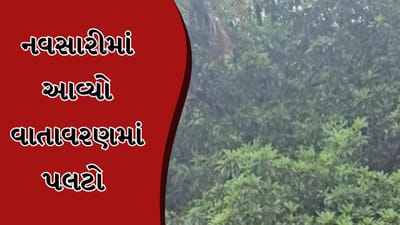 Navsari : નવસારીમાં વાતાવરણમાં અચાનક પલટો ! ગ્રામ્ય વિસ્તારોમાં વરસાદ વરસ્યો, જુઓ Video Navsari : નવસારીમાં વાતાવરણમાં અચાનક પલટો ! ગ્રામ્ય વિસ્તારોમાં વરસાદ વરસ્યો, જુઓ Video