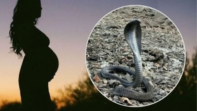 Pregnancy and Snake Myths: ગર્ભવતી મહિલાઓને સાપ કેમ કરડતા નથી, પુરાણમાં છુપાયેલું છે રહસ્ય