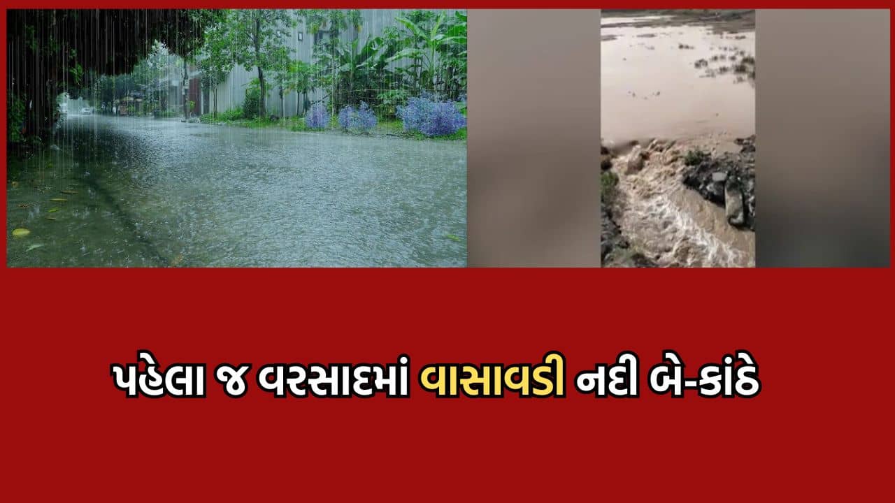 Rajkot: ગોંડલના વાસાવડ ગામમાં ખાબક્યો ભારે વરસાદ, બે કાંઠે વહેતી થઈ વાસાવડી નદી- જુઓ વીડિયો