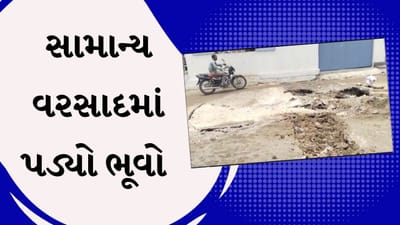 Junagadh Rain : ઝાંઝરડા વિસ્તારમાં થોડા વરસાદમાં જ પડ્યો ભૂવો, તંત્ર કામગીરીના ખોટા દાવા કરતા હોવાનો સ્થાનિકોના આક્ષેપ, જુઓ Video