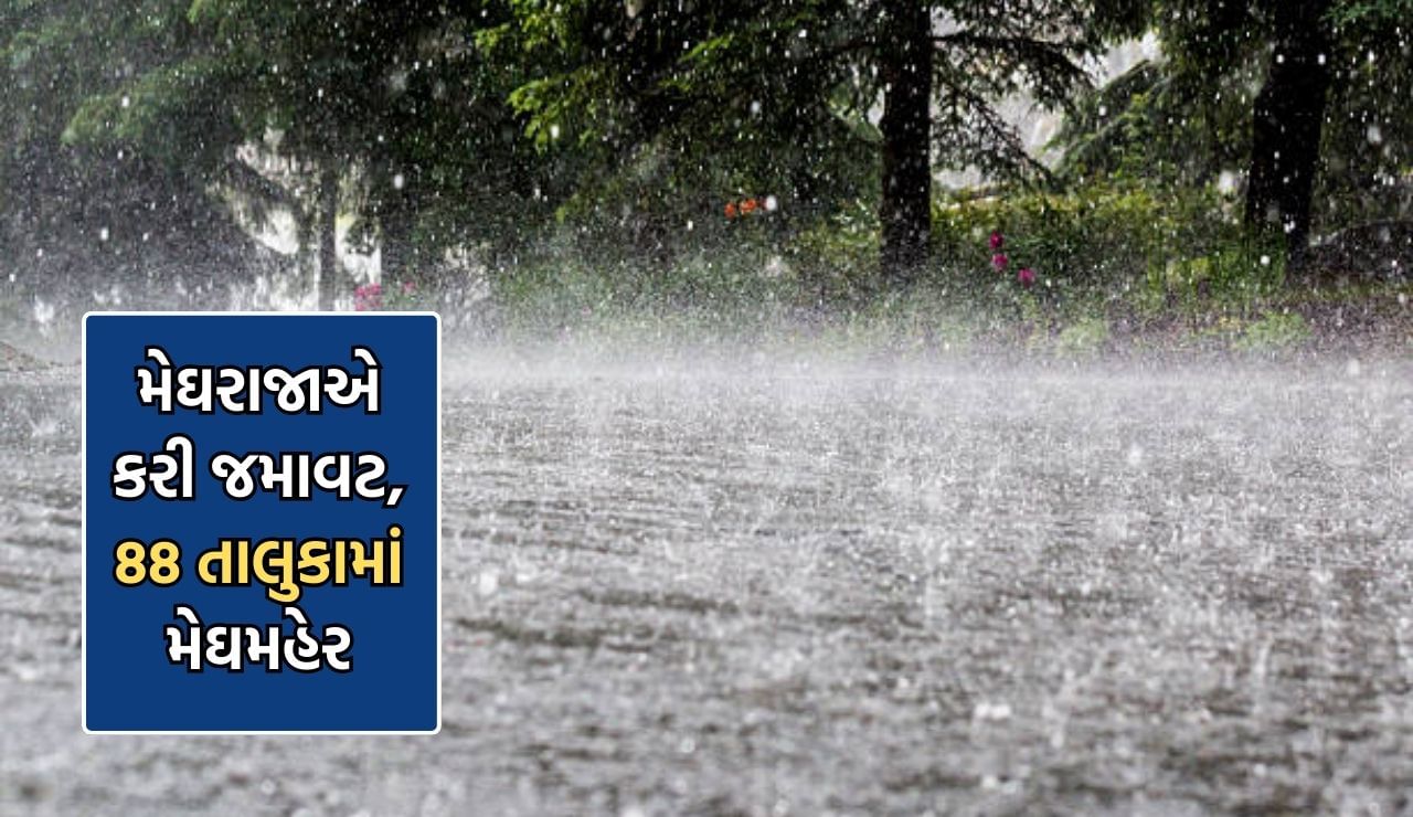 ગુજરાતમાં મેઘરાજાએ કરી ઝમાવટ, વિસાવદરમાં ખાબક્યો ચાર ઈંચ વરસાદ, છેલ્લા ...