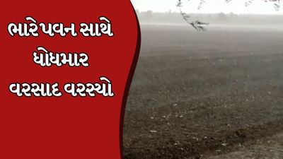 Rajkot Rain : જેતપુર અને જામકંડોરણાના ગ્રામ્ય પંથકમાં ભારે પવન સાથે ધોધમાર વરસાદ વરસ્યો, જુઓ Video