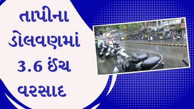 Gujarat Rain : ગુજરાતમાં મેઘરાજાએ કરી જમાવટ, તાપીના ડોલવણમાં 3.6 ઈંચ વરસાદ ખાબક્યો, જુઓ Video