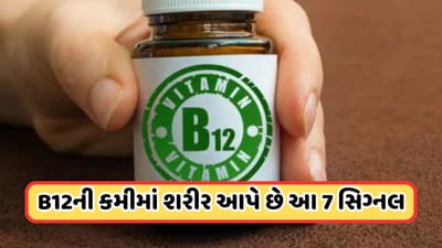 વિટામિન B12ની ગંભીર કમીથી શરીરમાં મચી જાય છે ઉથલ પાથલ, થઈ શકે છે આ 7  પ્રોબ્લેમ